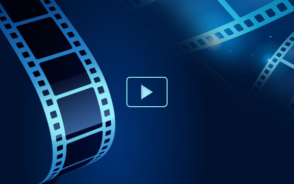 Phòng chống bệnh chó dại